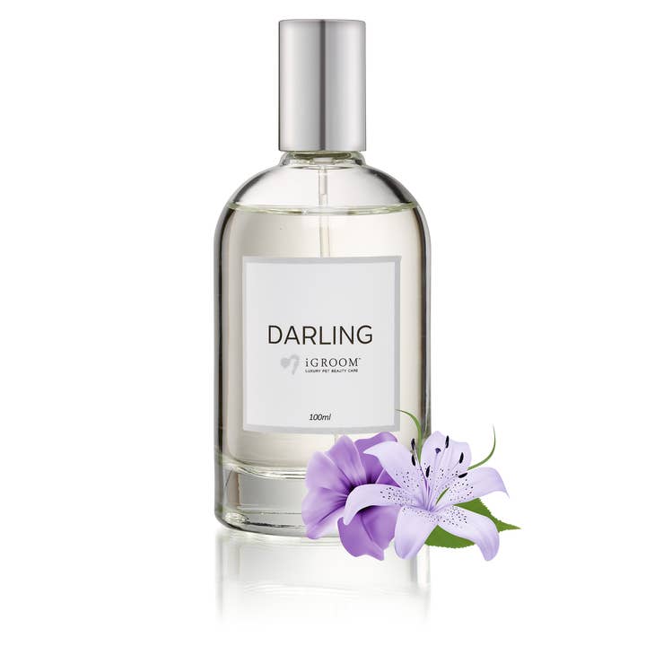 Darling Perfume for wholesale by iGroom