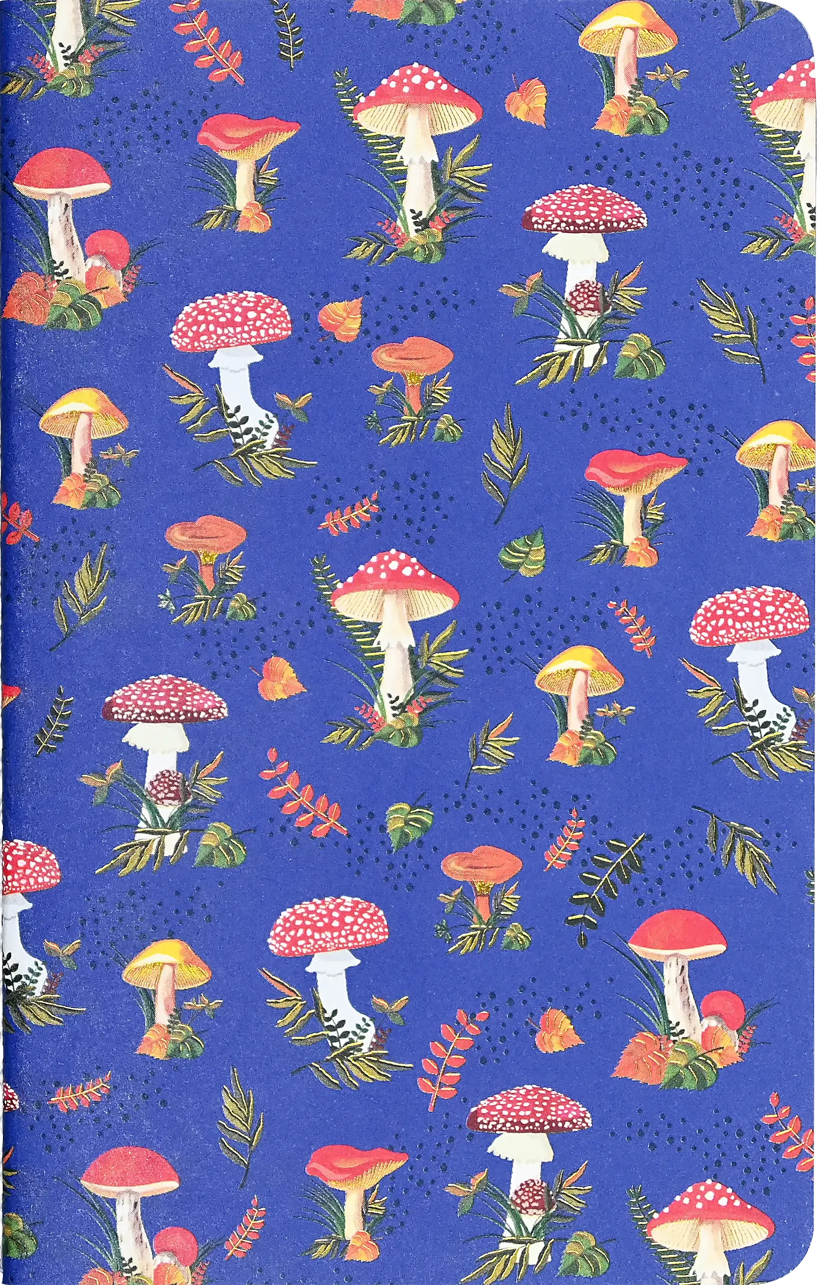 Peter Pauper Press - Vente Cahiers - Ensembles de carnets Jotter Mini : Champignons3