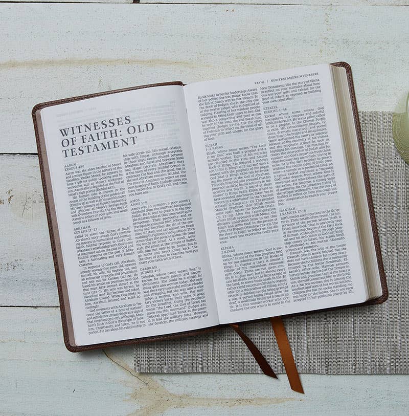 HarperCollins Christian Publishing - Wholesale Religion Book - NRSV Catholic Edition Gift Bible, Teal Leathersoft (Comfort 2