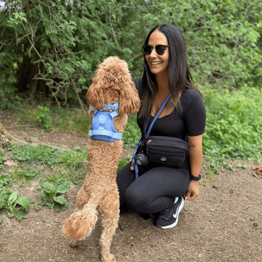 Bailey and Coco – wholesale Pet treat bag – Dog – Magnetic Snap Dog Walking Bum Bag - Black9