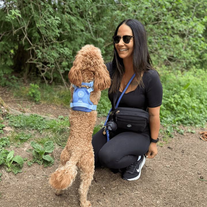 Bailey and Coco – wholesale Pet treat bag – Dog – Magnetic Snap Dog Walking Bum Bag - Black9