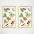 Olive Loom - Wholesale Tea Towel - Designer Kitchen Towels10