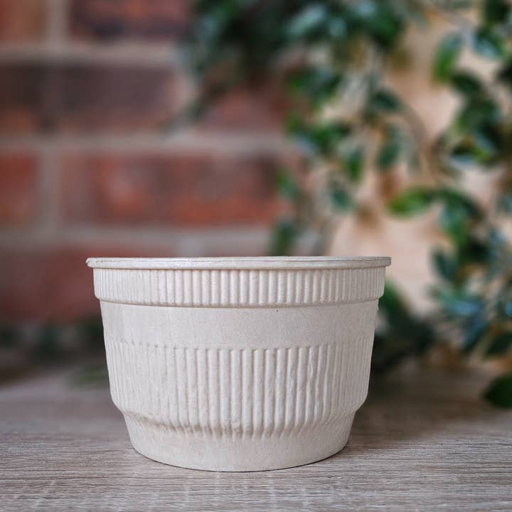 500 pcs Thick Wall Home-Compostable Round Bowl 500ml for wholesale by Sustainoware