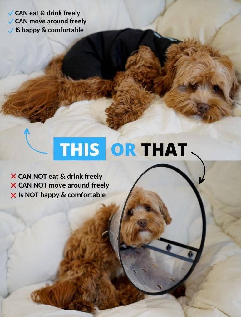 Shed Defender - Wholesale Pet Bodysuit - Cat/Dog - Shed Defender Post Surgery Recovery Suit for Dogs4