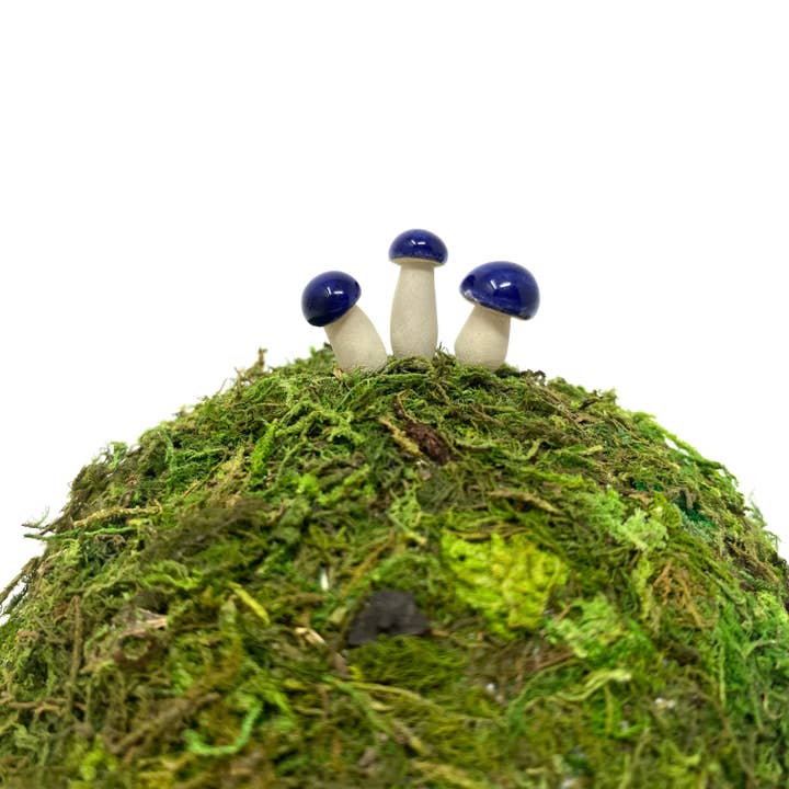 Handpicked Ceramics - Wholesale Decorative Tabletop Object - Micro Ceramic Mushrooms8