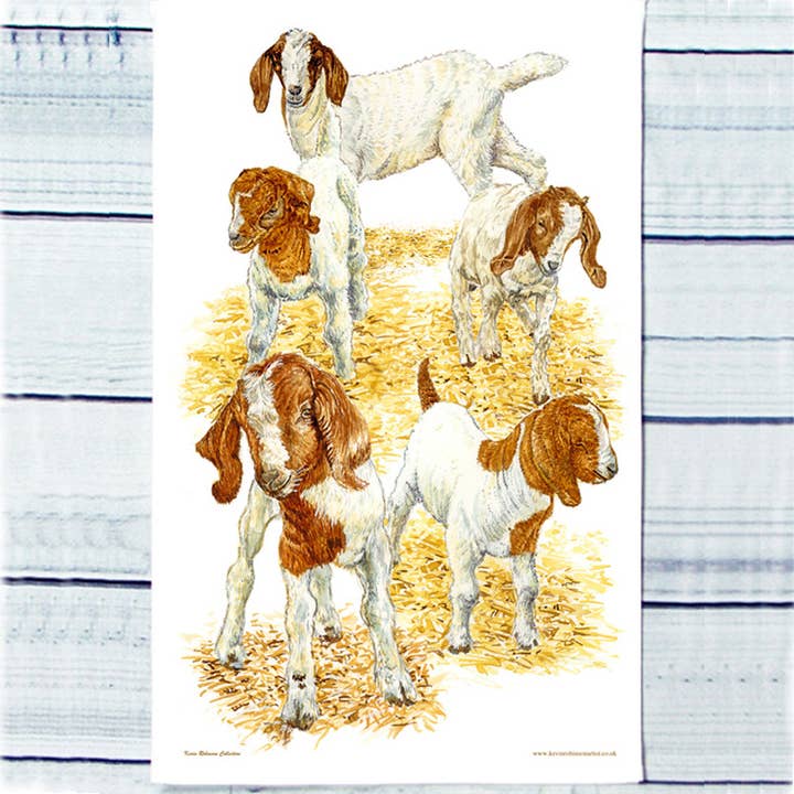 Torchon de chèvres naines pour la vente par Robinson Collection