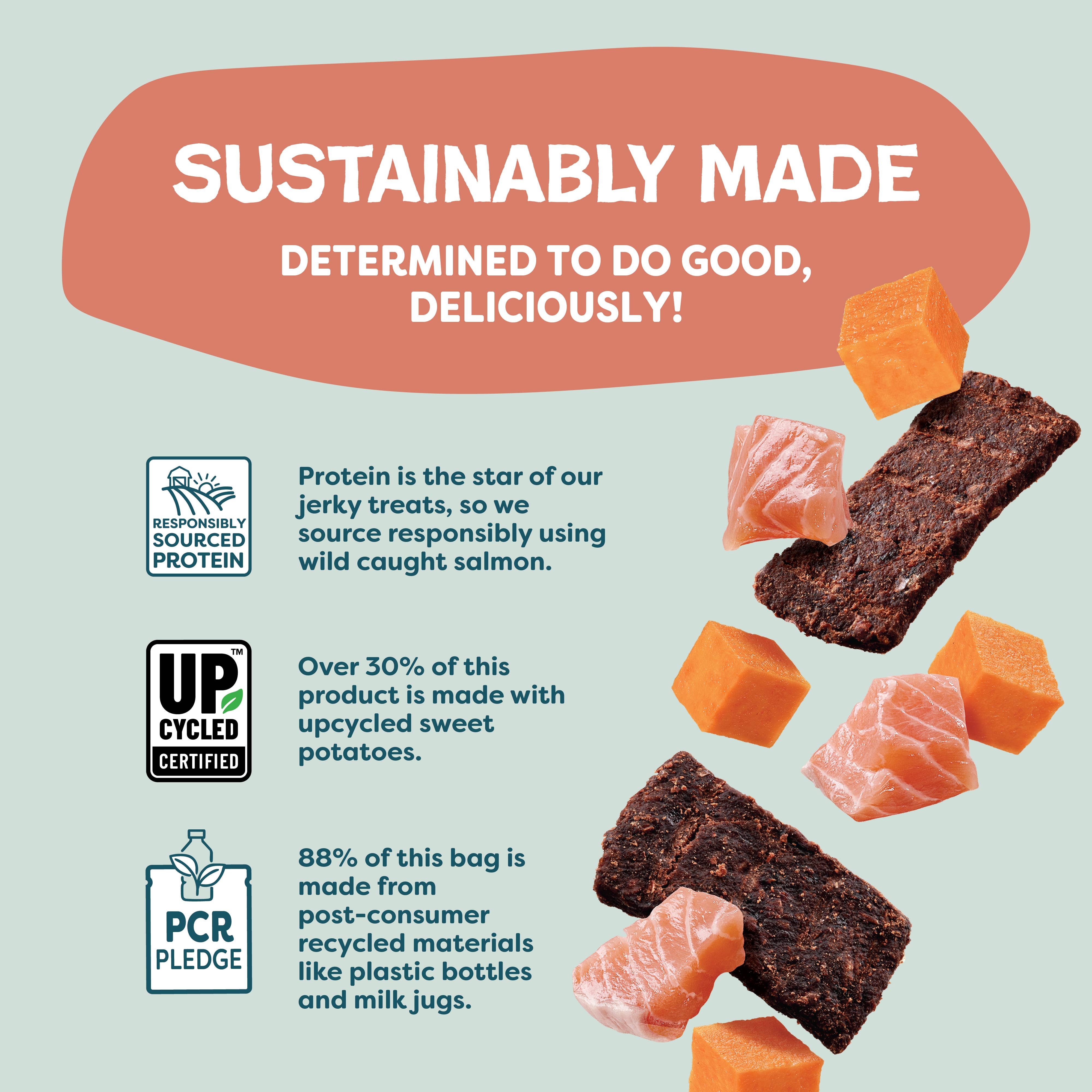 Shameless Pets - Wholesale Pet Treats - Dog - Salmon Loves Butternut Jerky Dog Treats6