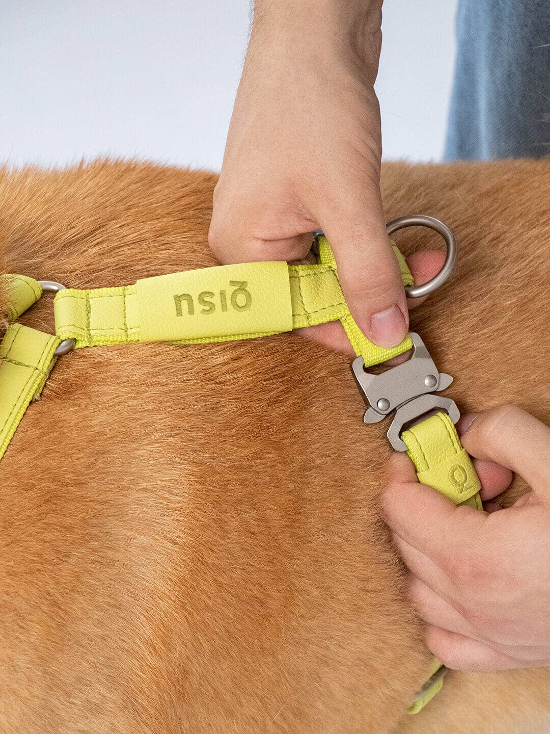 Qisu – Großhandel Haustiergeschirr – Hund – Hundegeschirr | Air Collection6