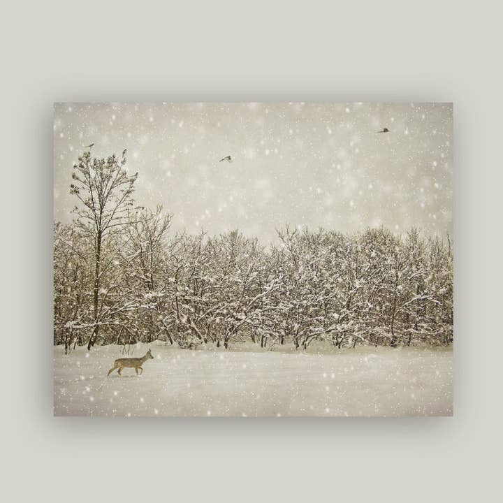 Petal Lane Home - Wholesale Canvas Art - Winter Fawn Artist Board0