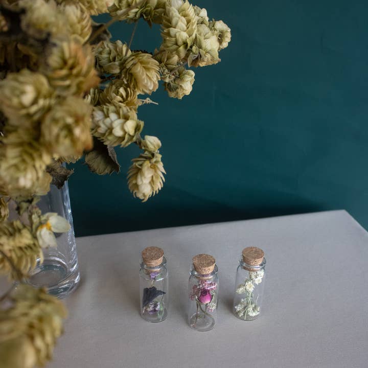 Fernseed - Wholesale Dried/Pressed Flowers - Mini Dried Flower Vials1