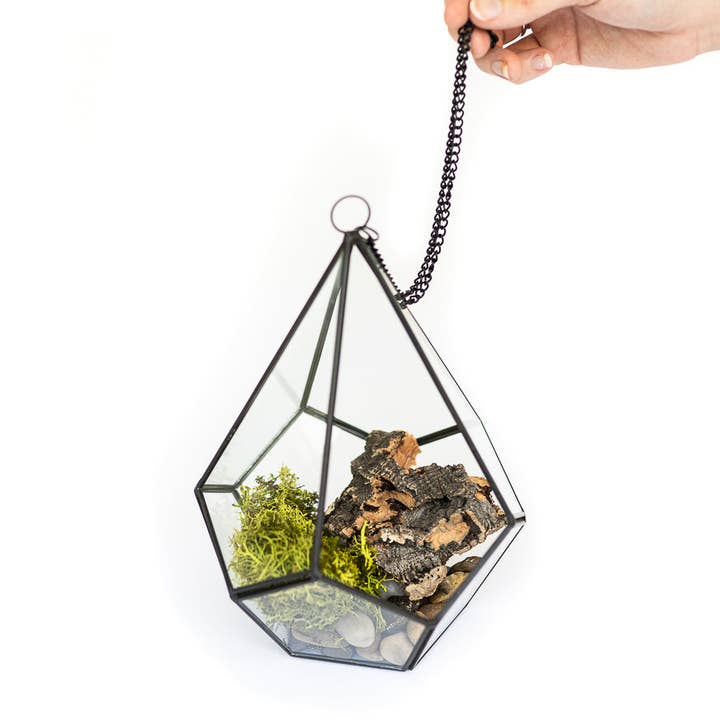 Air Plant Shop - Wholesale Terrarium - DIY Glass Diamond Terrarium with Kit and Two Air Plants