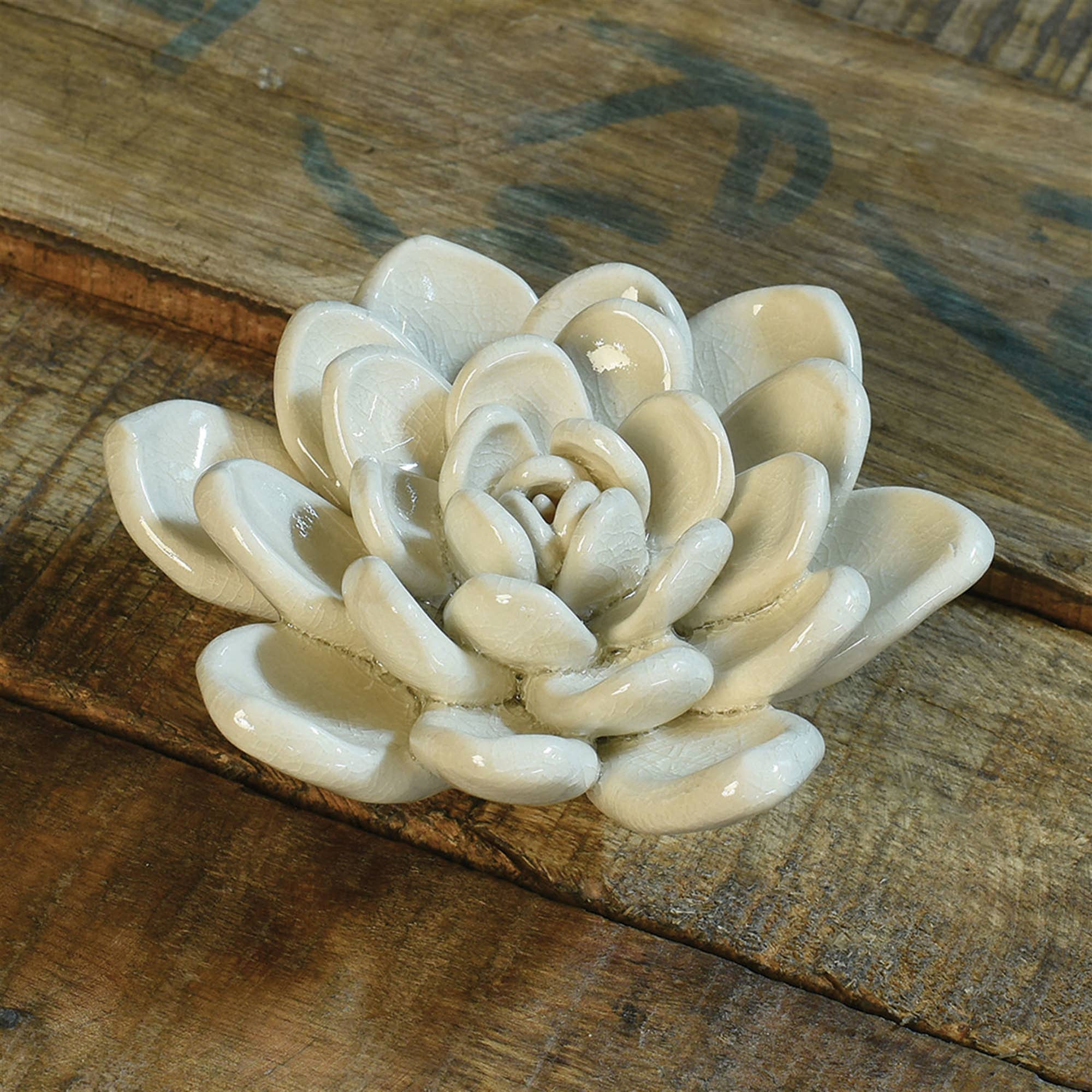 HomArt – wholesale Artificial plant – Ceramic Succulent - Cream2