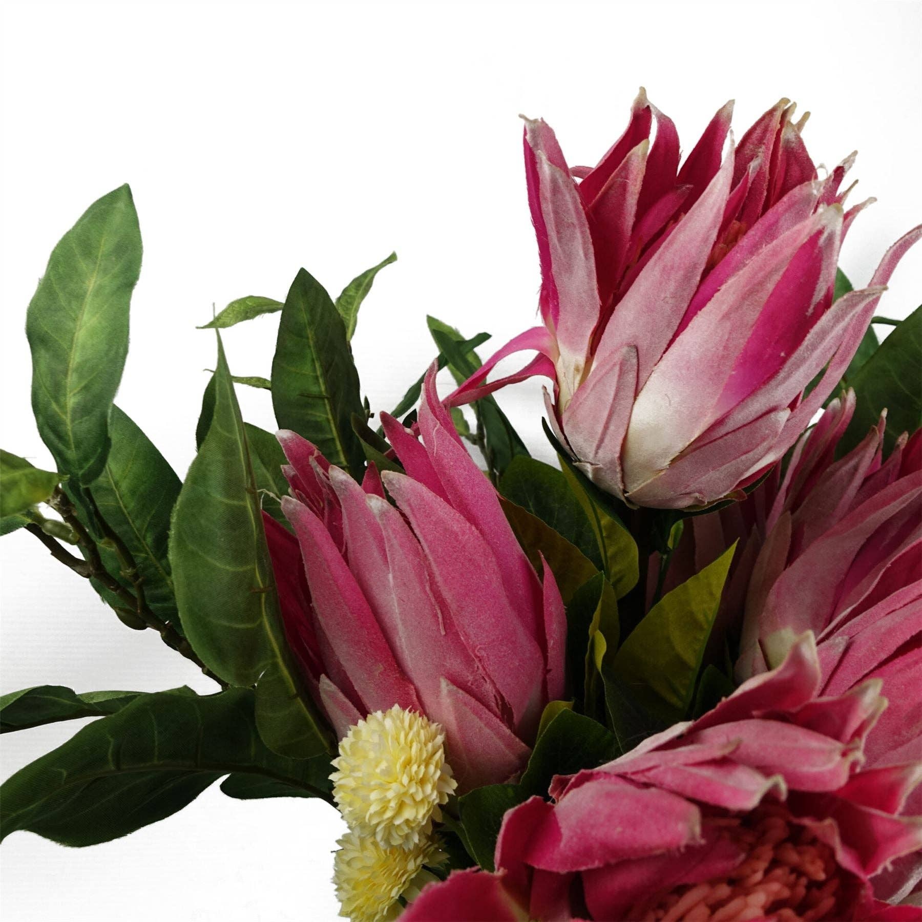 Leaf Design UK LTD – wholesale Artificial flowers – Pack of 6 x 65cm Protea Sugarbush Flower Stem - Pink4