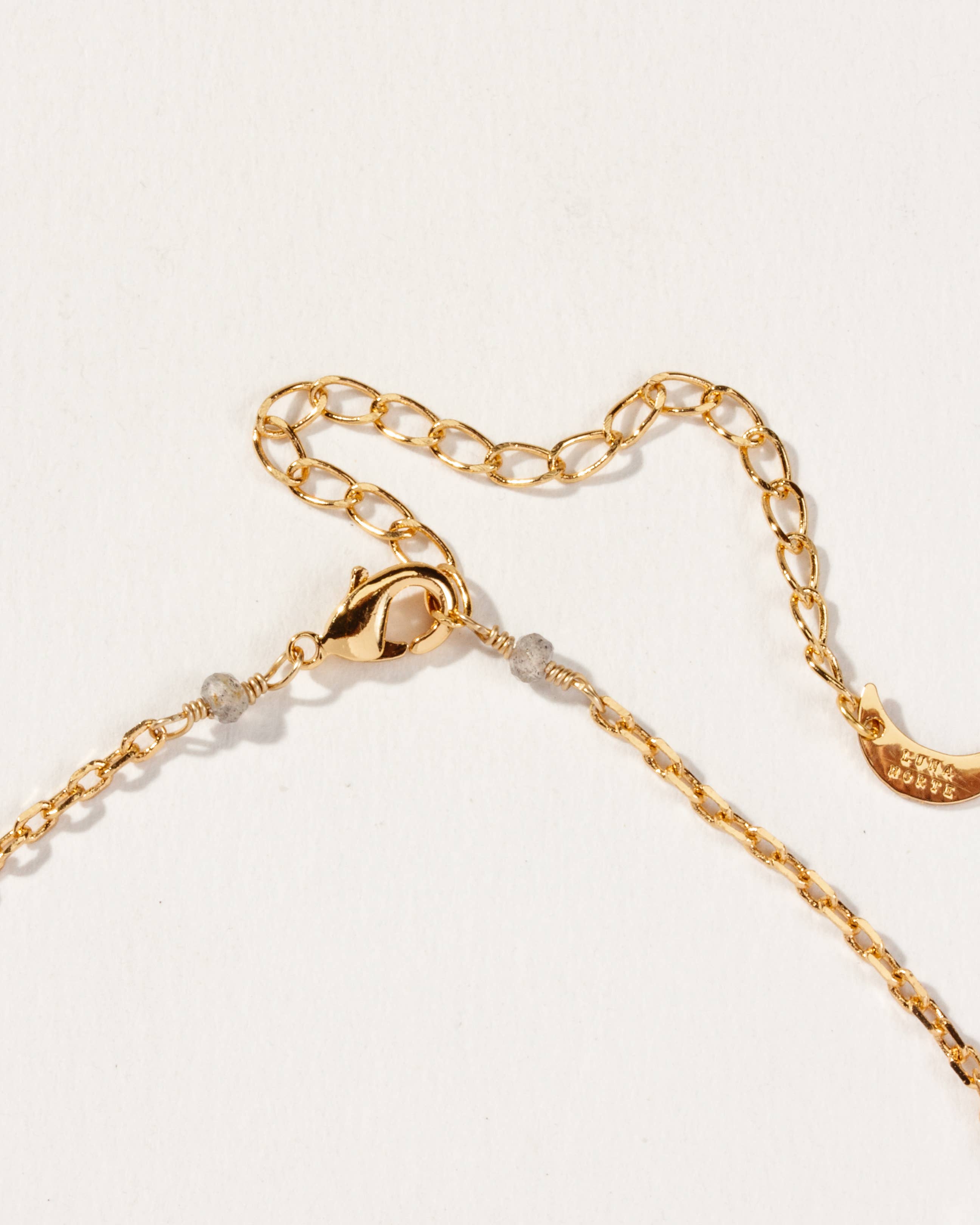 Luna Norte - Wholesale Pendant/Charm Necklace - Smooth Sailing Long Medallion Necklace- Labradorite1