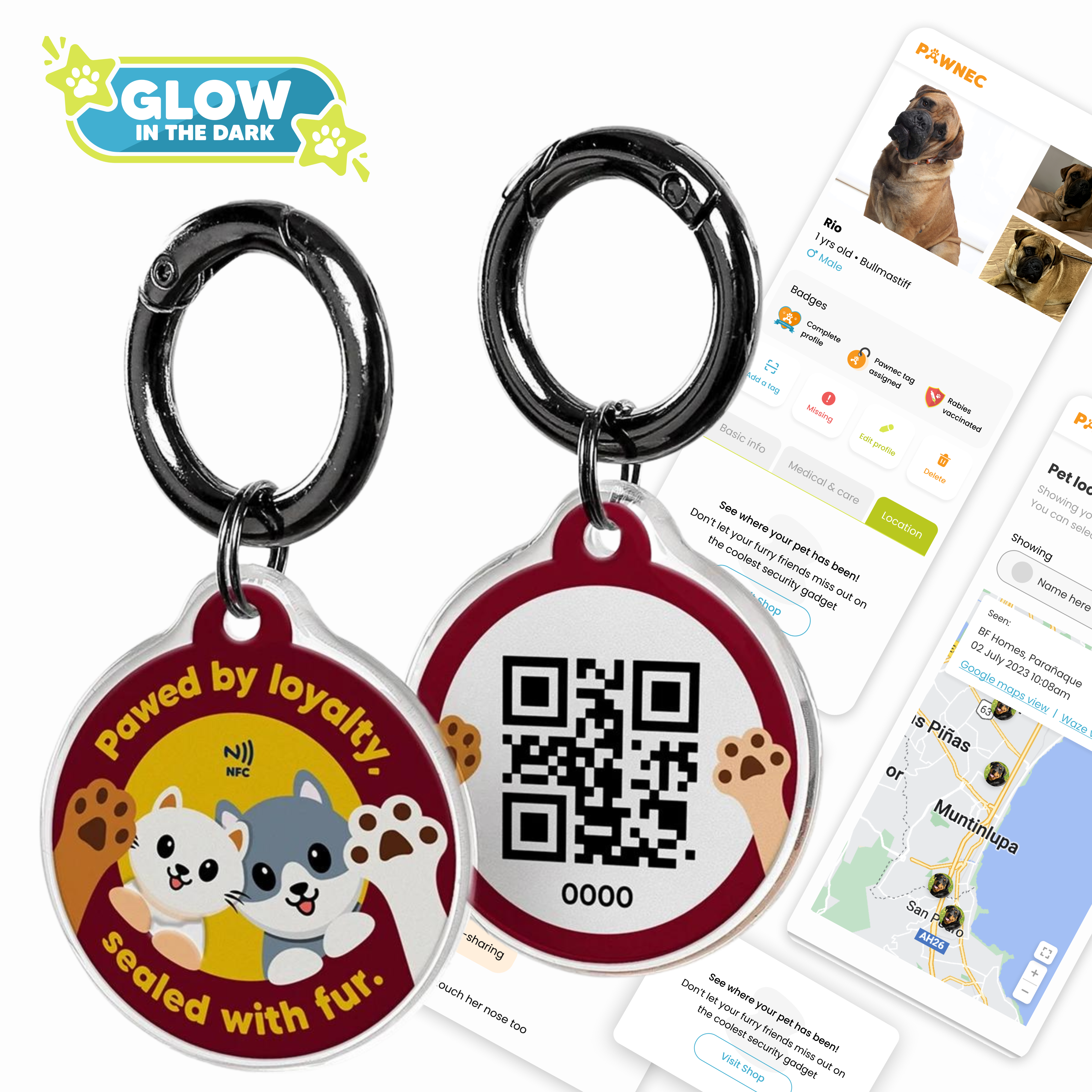 Pawnec - Wholesale Pet Identification Tag - Cat/Dog - IndieTag "Glow n Go"20