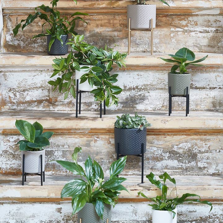 BIDKhome - Wholesale Plant Pot - Polly Ceramic Pot Planter (Set of 64)