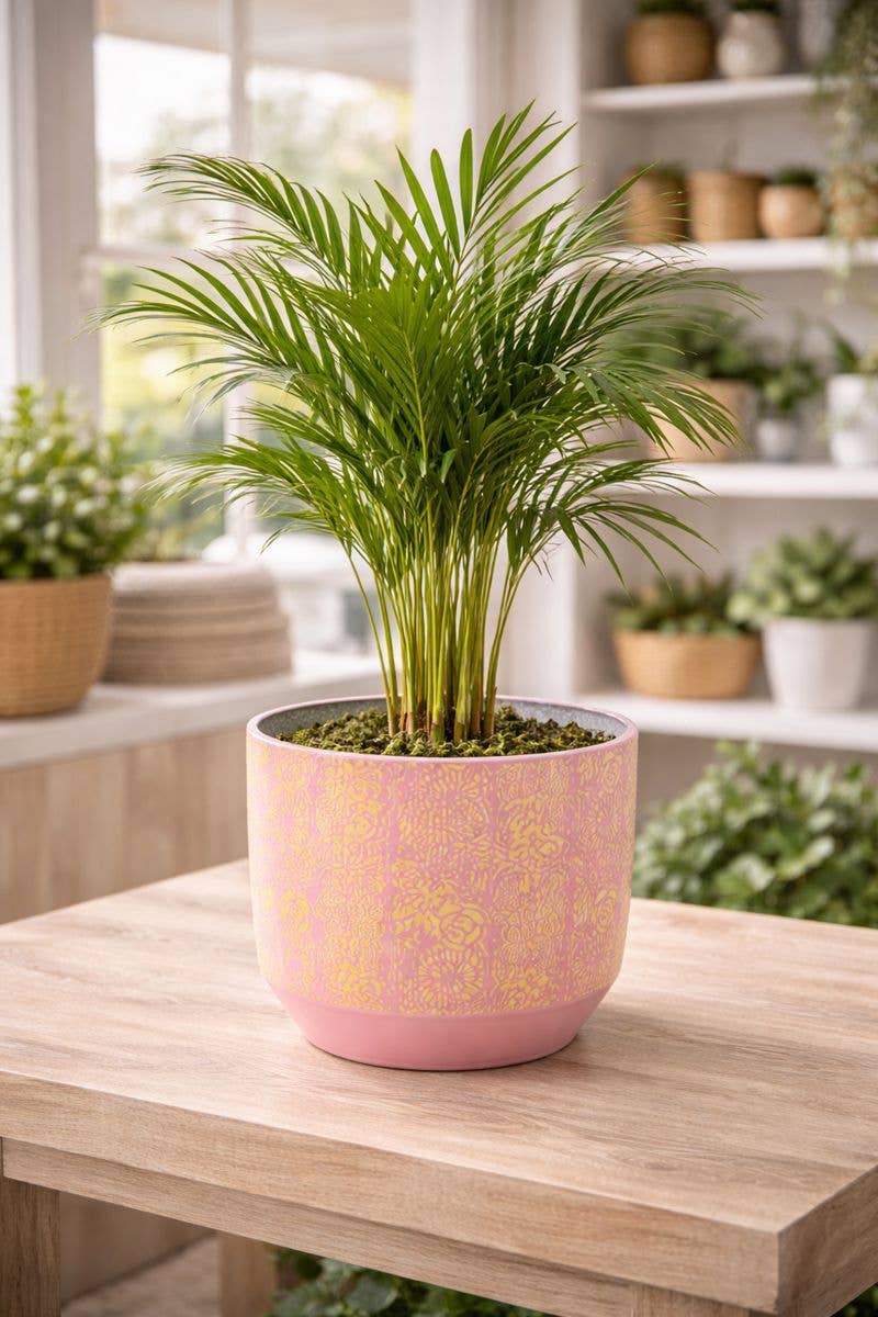 Napco - Wholesale Plant Pot - Pink & Yellow Patterned Planter - Storage(3) Item # 17184 1