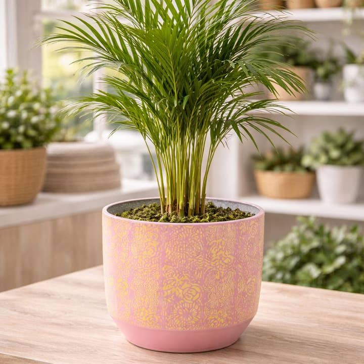 Napco - Wholesale Plant Pot - Pink & Yellow Patterned Planter - Storage(3) Item # 17184 1