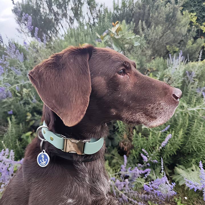Splash By Happy - Wholesale Pet Collar - Dog - Biothane® clip necklace