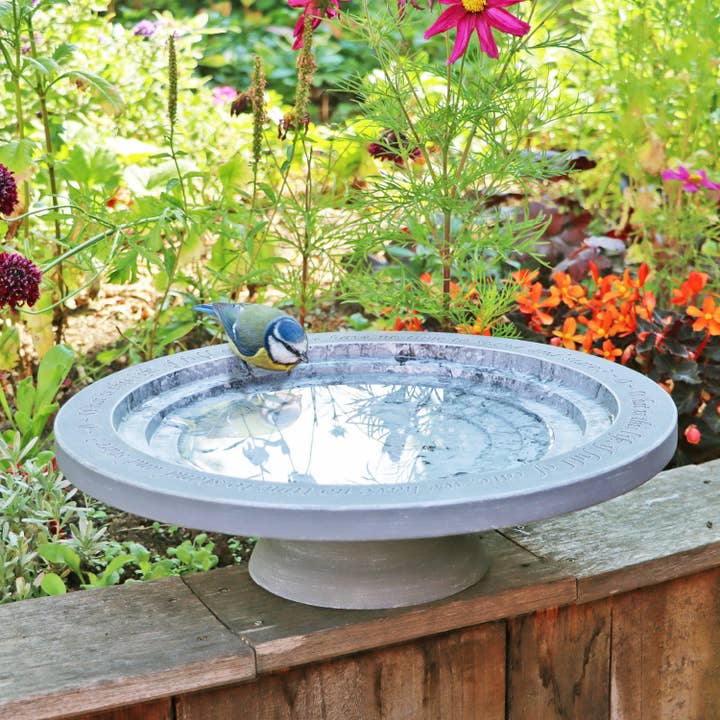 Shenstone Theatre Bird Bath and Drinker for wholesale by Wildlife World Ltd
