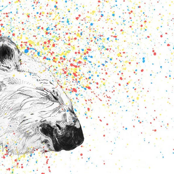 Isbjörn//Signerat tryck för wholesale av Sandra Dieckmann