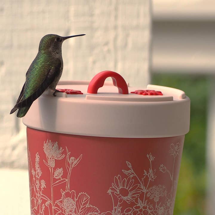 Anna's Healthy Hummingbird - Wholesale Bird Feeder - Insulated hummingbird feeder
7