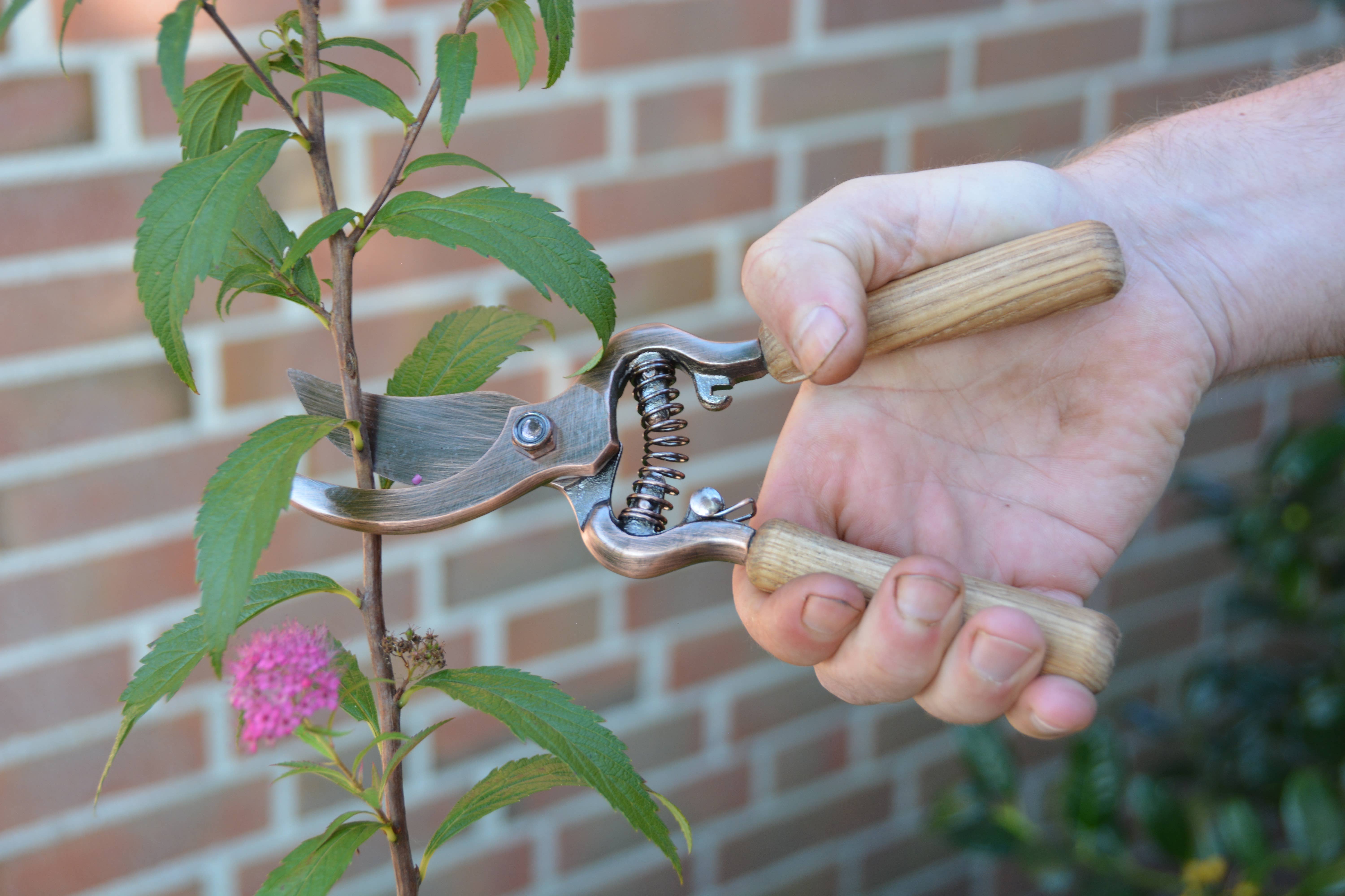 Fallen Fruits Ltd – wholesale Garden tool – GT124 - Copper Plated Pruner1