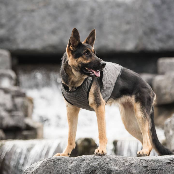 GF Pet - Wholesale Pet Vest - Dog - US Army Dog Cooling Vest - Grey1