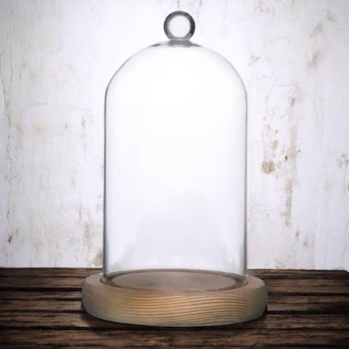 Wax Apothecary - Wholesale Decorative Jar - NEW Cloche Bell Jar with Wood Base for Candle Display
