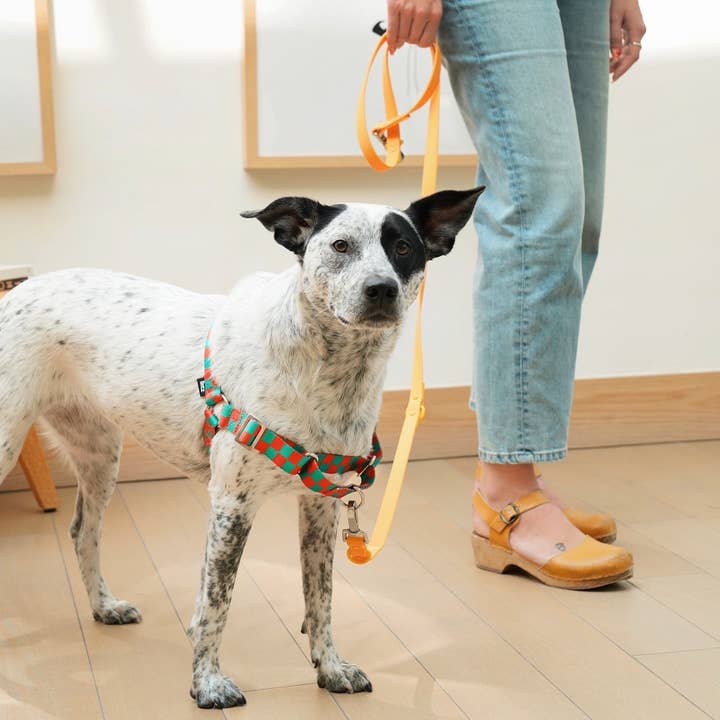 Approved by Fritz - USA - Wholesale Pet Harness - Dog - The Fritz Dog Harness | Adjustable, No-Pull & Reversible7