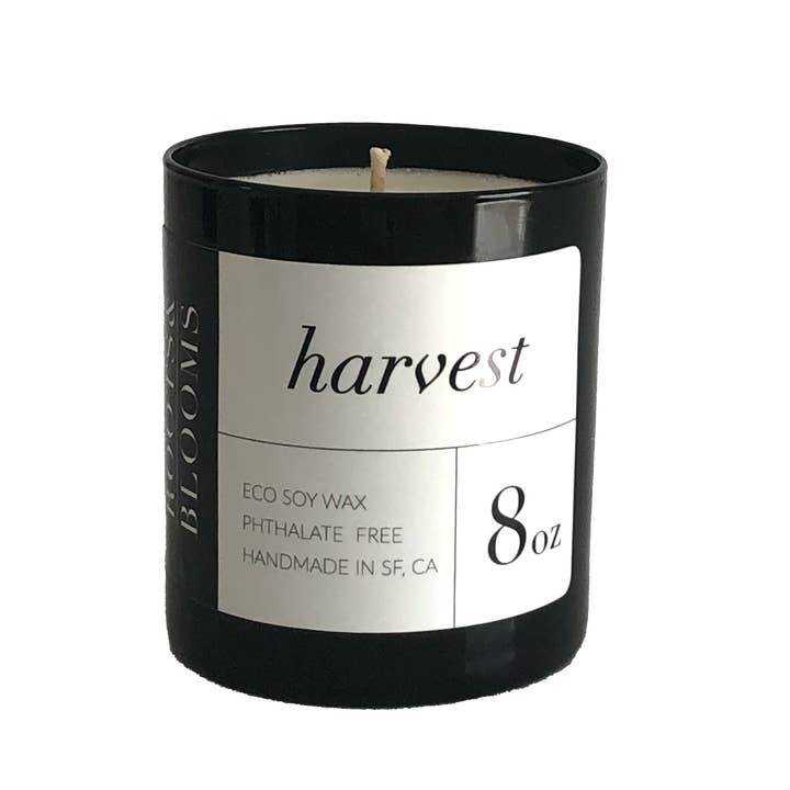 Pumkin Harvest | Candle for wholesale by Roots Blooms