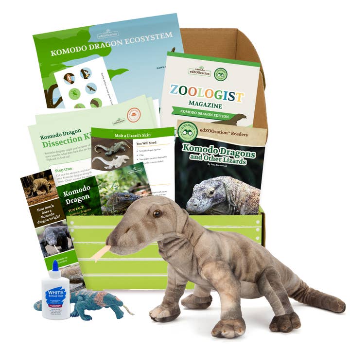 Komodo Dragon Zoologist Box (Ages 6-8) for wholesale by Wildlife Tree