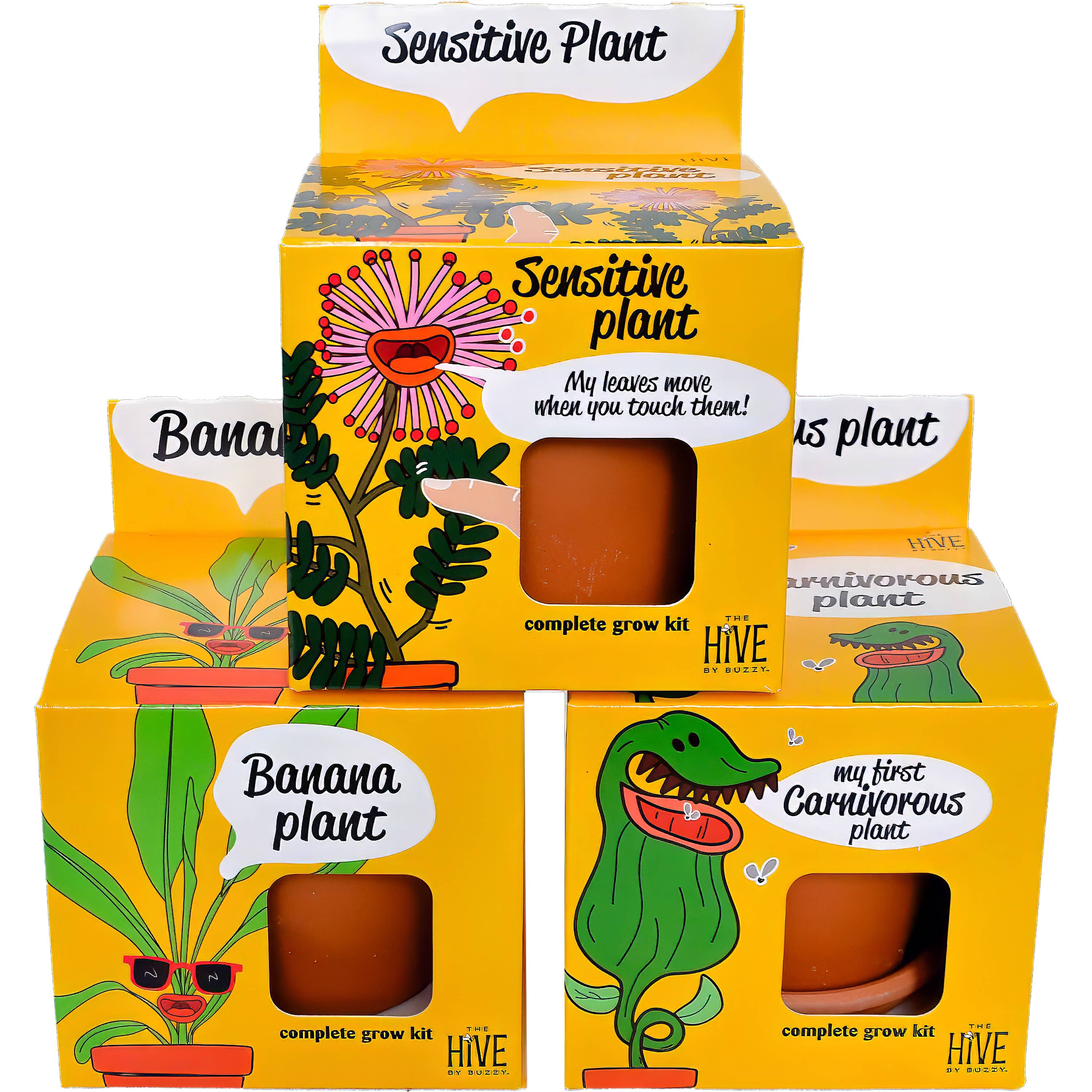 Buzzy Seeds Grow Gifts - Wholesale Plant Seeds - Sensitive Plant Grow Kit – Exotic Indoor Gardening Gift3