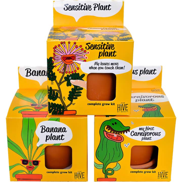 Buzzy Grow Gifts - Wholesale Plant Seeds - Exotic Banana Plant Grow Kit – Indoor Tropical Gift Set3