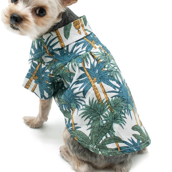Tropical Leaf Shirt for wholesale by Dogo Pet