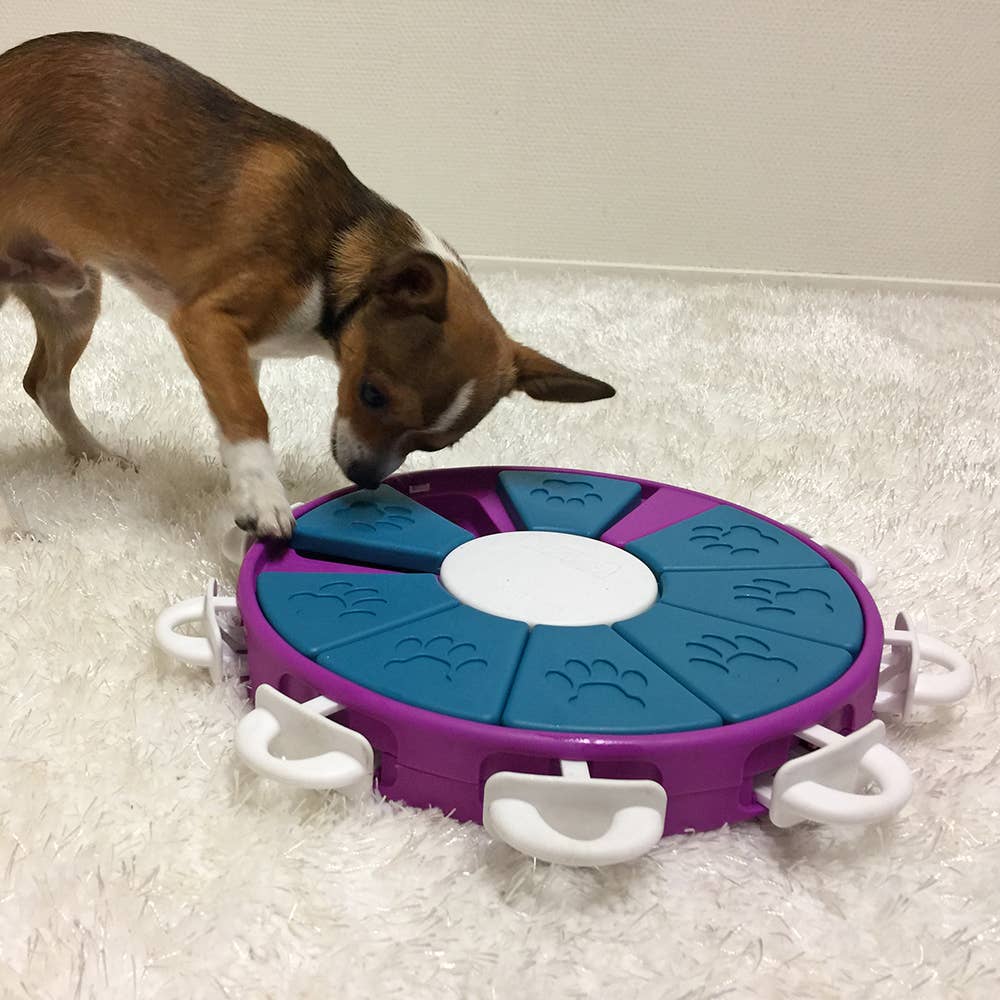 Pet Palette Distribution - Wholesale Pet Toy - Dog - Nina Ottosson Dog Twister Interactive Dog Puzzle Toy Purple2