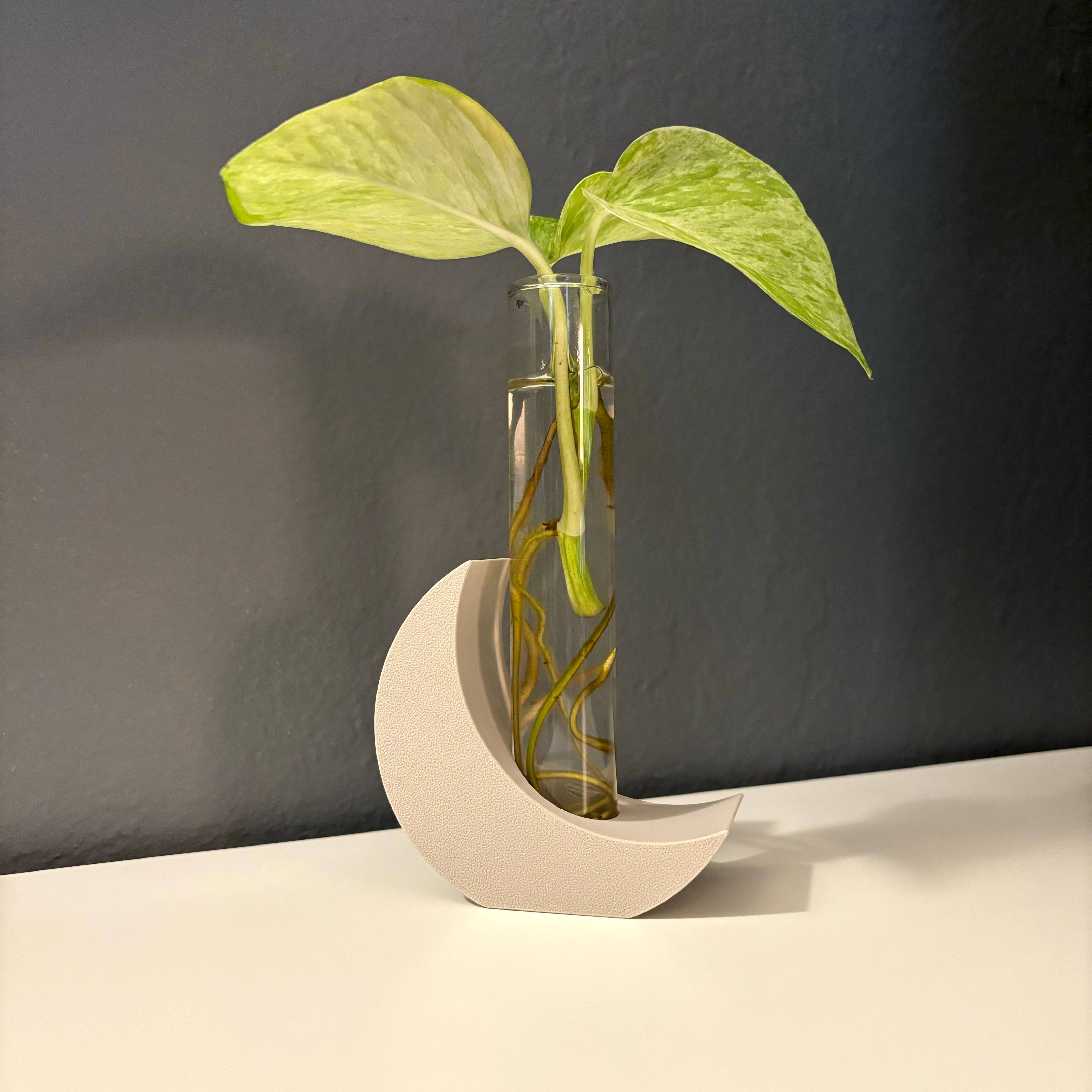 Plant Voyage - Wholesale Plant pot - 3D Printed Moon Propagation Station, Propagation Stand6