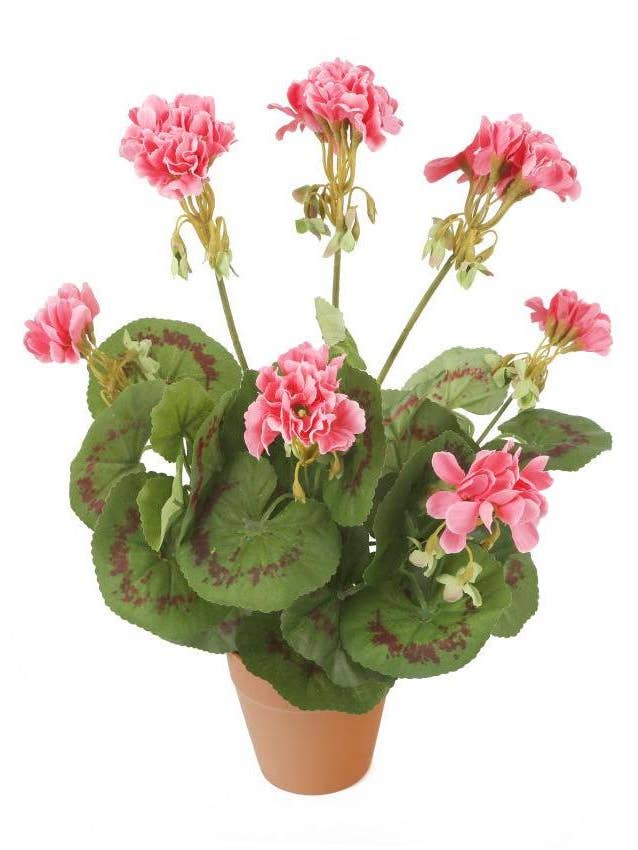 Artificial 38cm Pink Zonal Geranium Plug Plant for wholesale by Closer2Nature
