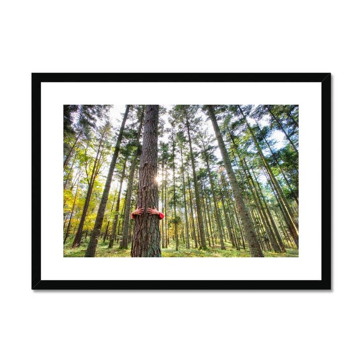 Homem abraçando uma árvore Impressão emoldurada e montada por atacado de Sorbey