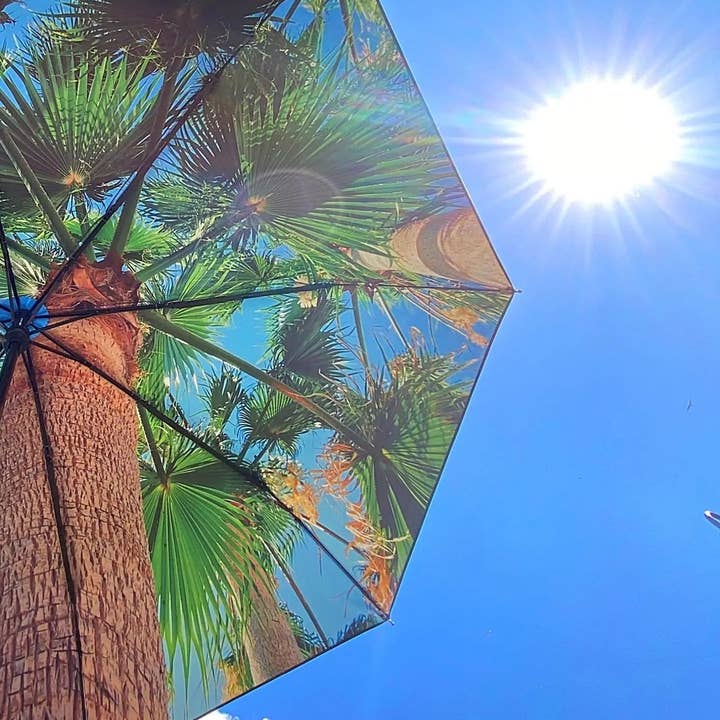 HAPPYSWEEDS - Vente Parapluie – unisexe - Paradise Umbrella – Résistant au vent & Protection UPF50+1
