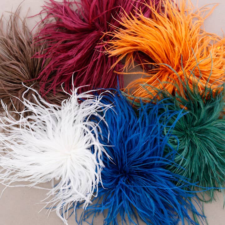 Sonata - Vendita all'ingrosso Spille - Spilla Piume 10-15cm(C)1