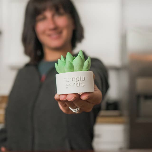 Simply Earth - Wholesale Electronic Diffuser - Succulent Essential Oil Diffuser1