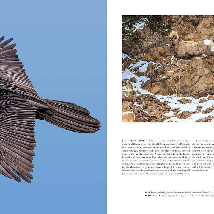 Insight Editions - Wholesale Book - Adult - Wild Lives (Coffee Table Gift Book / Art Wolfe photography)