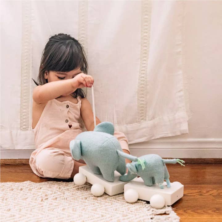 J&B Liquidations - Wholesale Toy Set - Kids - Wonder & Wise Toddler Elephant Pull Toy1