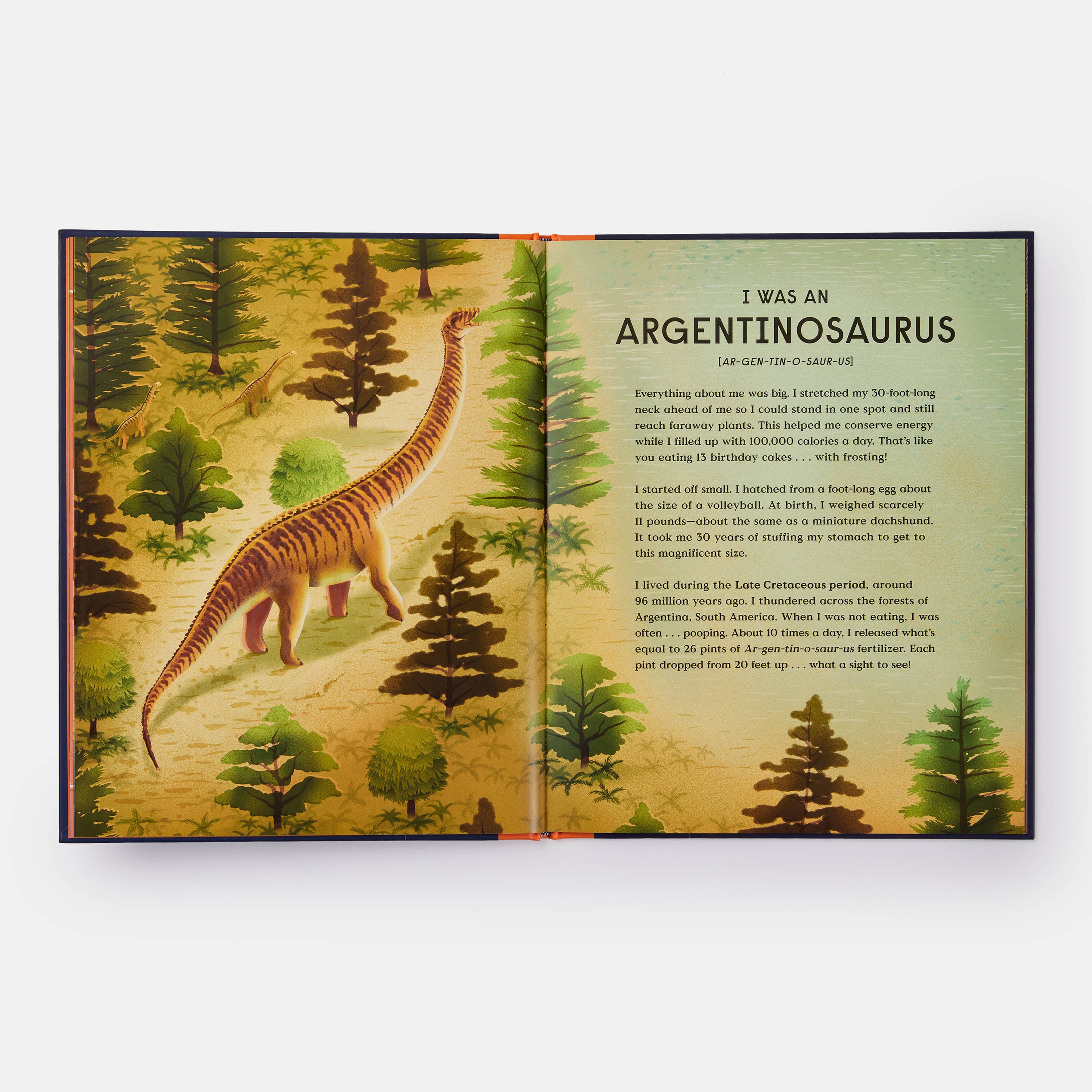 Phaidon - Wholesale Middle Grade Book (9-12) - Book of Dinosaurs: 10 Record-Breaking Prehistoric Animals8