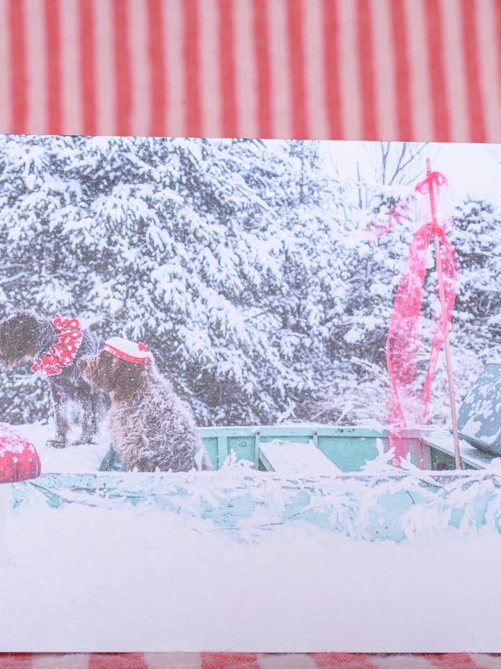 Carte de vœux quotidienne Diplôme Voyage Retraite Photographie pour la vente par The Velvet Big Top