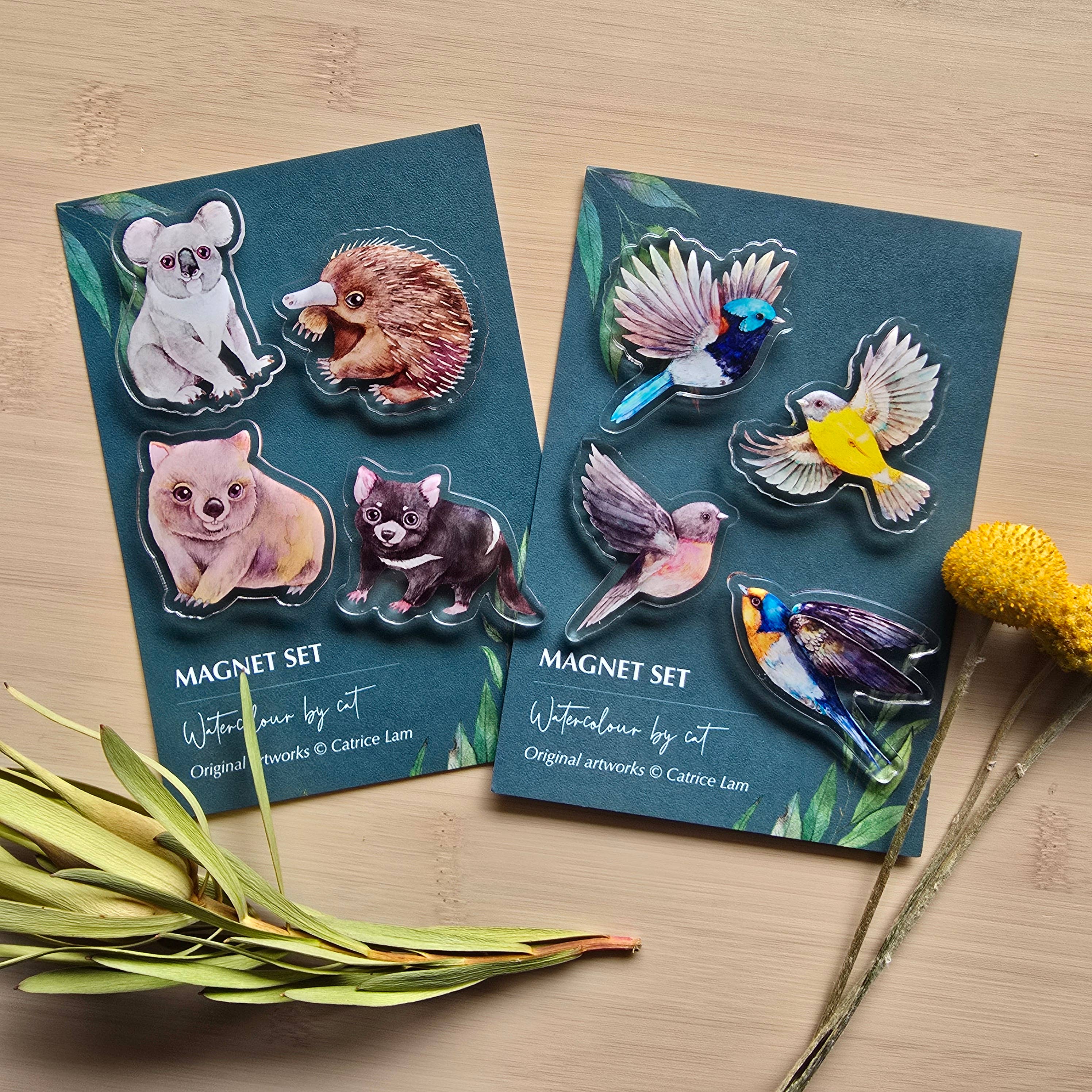 Watercolour By Cat - Venta al por mayor Imanes - Juego de Imanes Acrílicos de Animales de Australia – Pack de 42