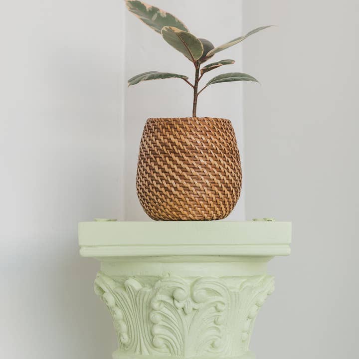 Viridi - Wholesale Plant Pot - Olla Rattan Planter Set of 23