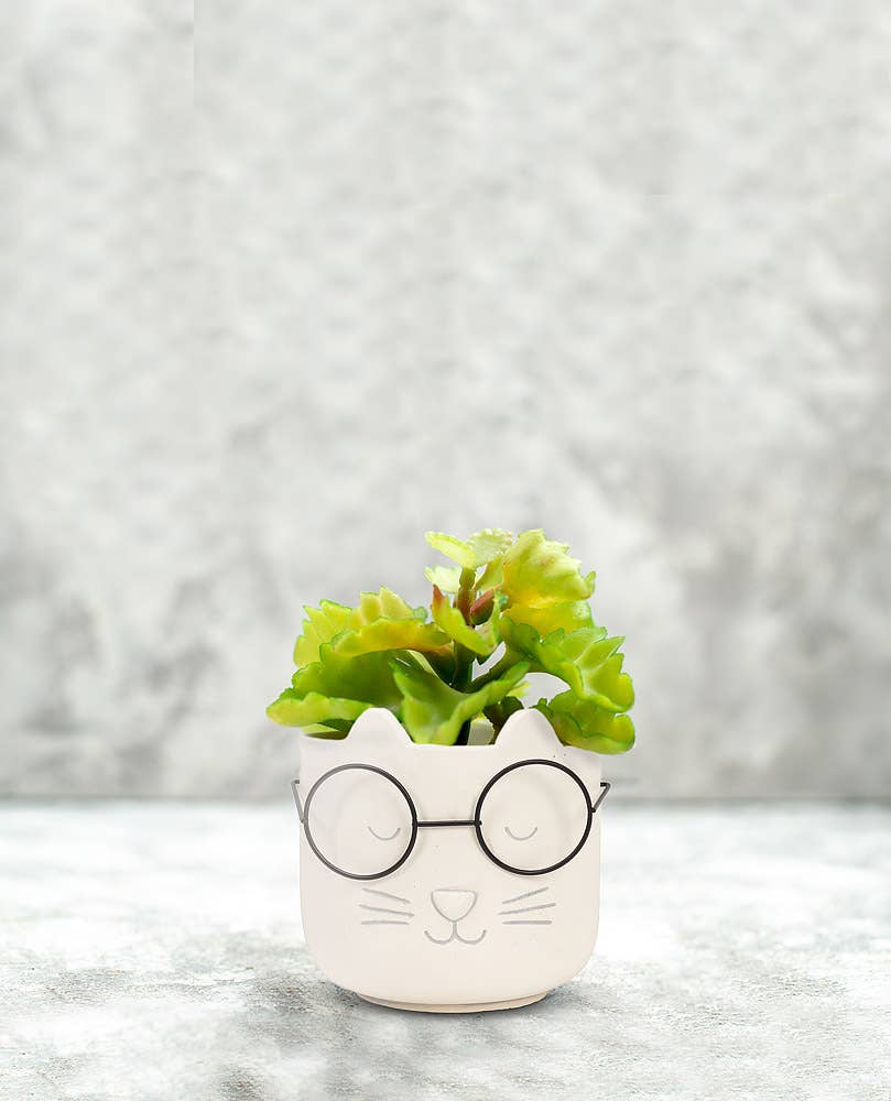 Abbott - Wholesale Plant Pot - Lg Cat Face Planter w/Glasses-4.5"H-14963