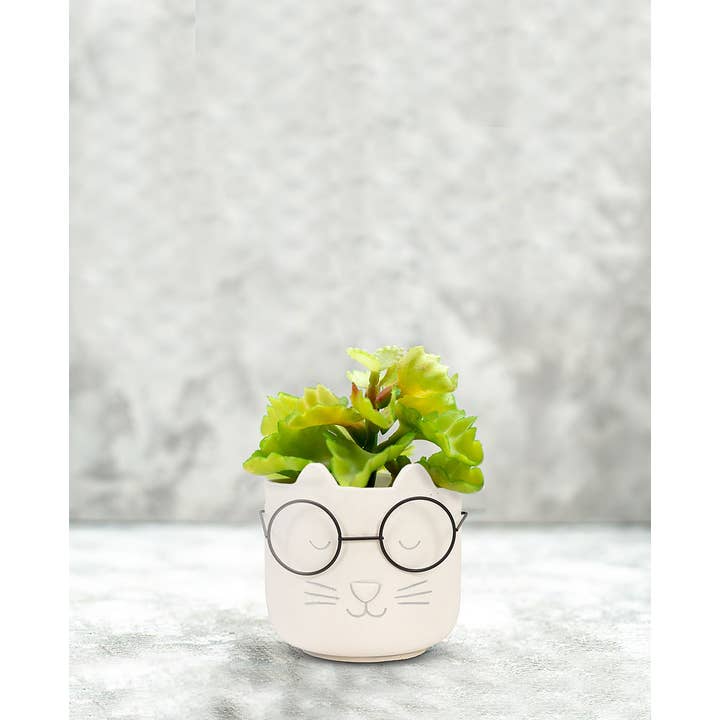 Abbott - Wholesale Plant Pot - Lg Cat Face Planter w/Glasses-4.5"H-14963